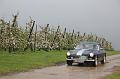 MG Bloesemrit op 24-4-2016 org. Jos&Marie-lou  (224)
